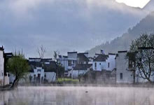 龙华茶叶市场资源共享，共谋发展大计